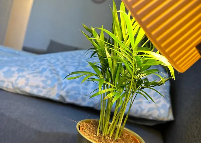 Deri Corner By Downtown Apartament Budapesta